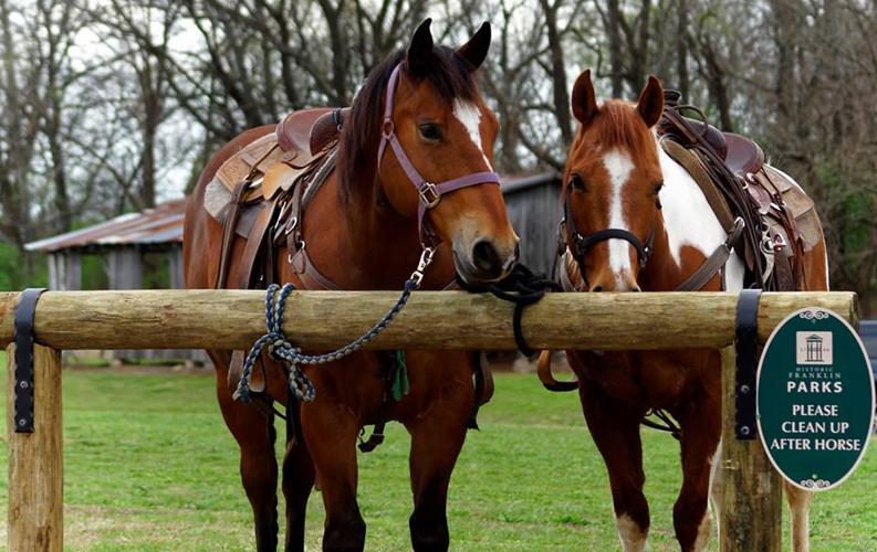 Some great info on tying a - Ranch Horse Revolution Club