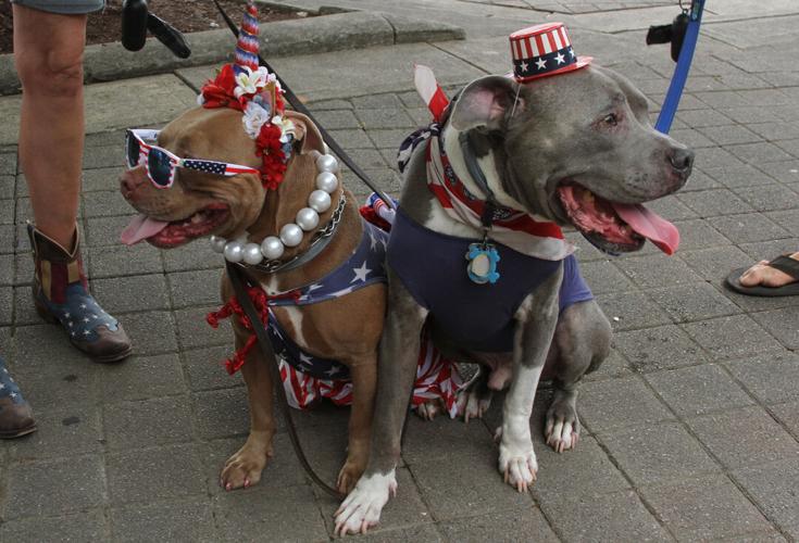 Franklin on the Fourth