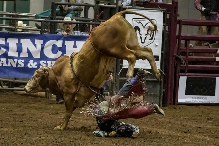 2022 Franklin Rodeo (Friday)