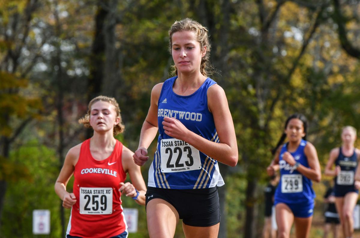 State Cross Country – Division I Large Schools