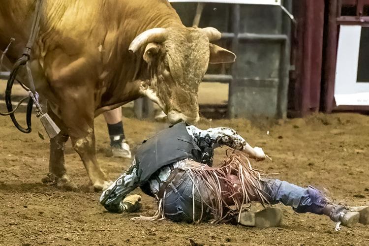 2022 Franklin Rodeo (Friday)