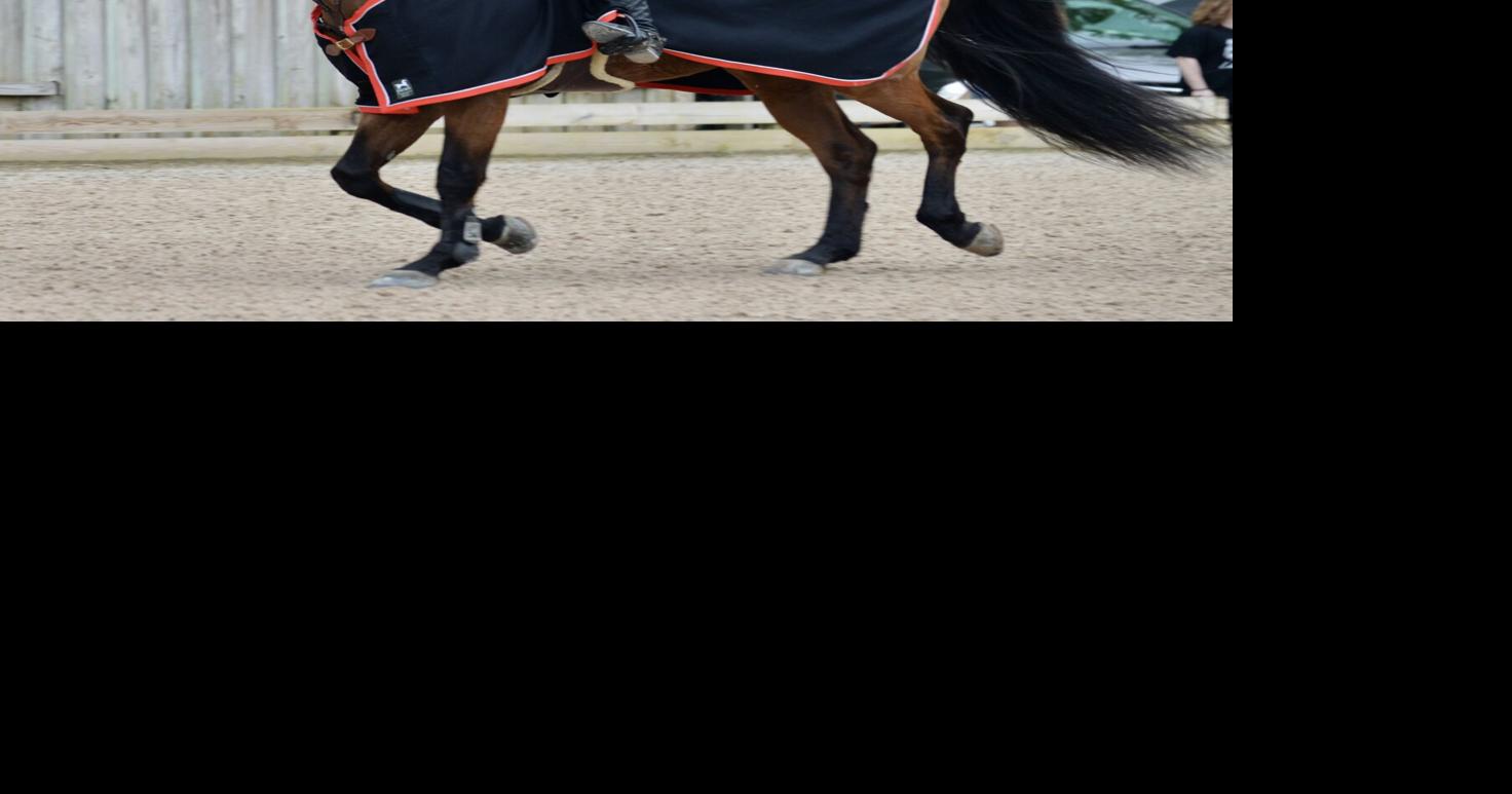 Saddle Up! hosts 36th Annual Music Country Grand Prix at Brownland Farm