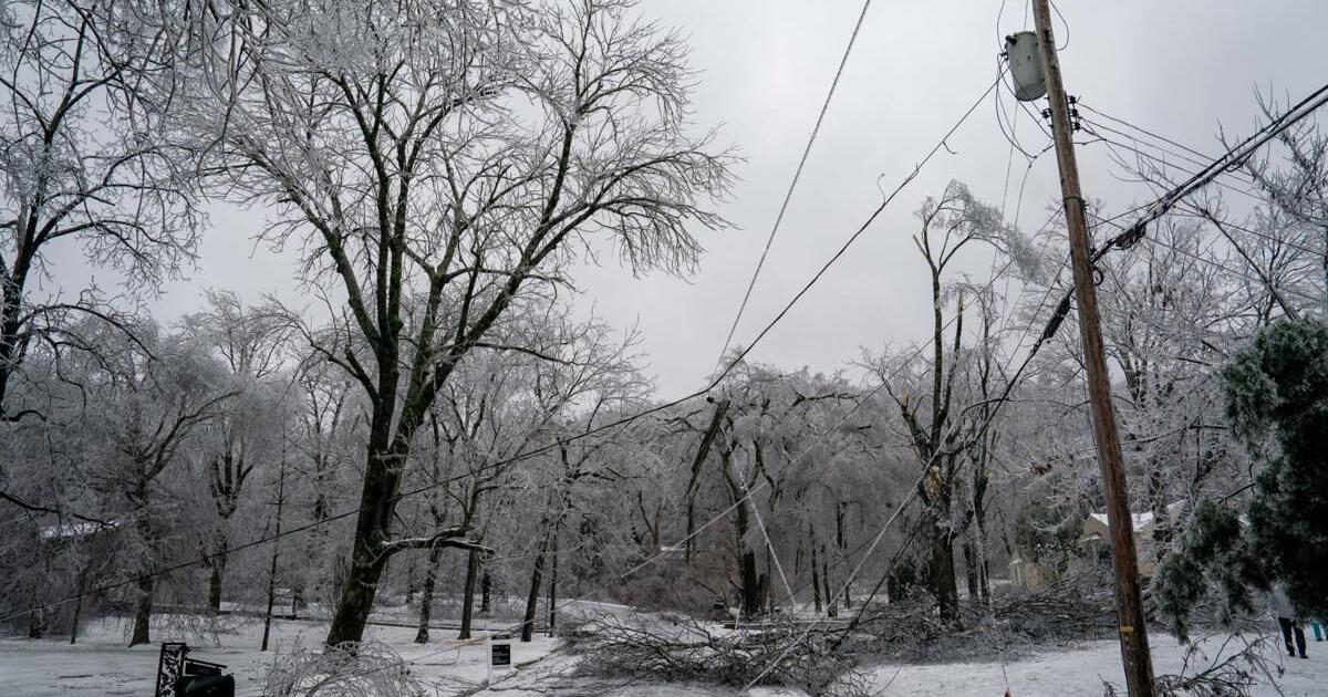 City of Franklin, EMA prioritize clearing debris following Winter Storm ...
