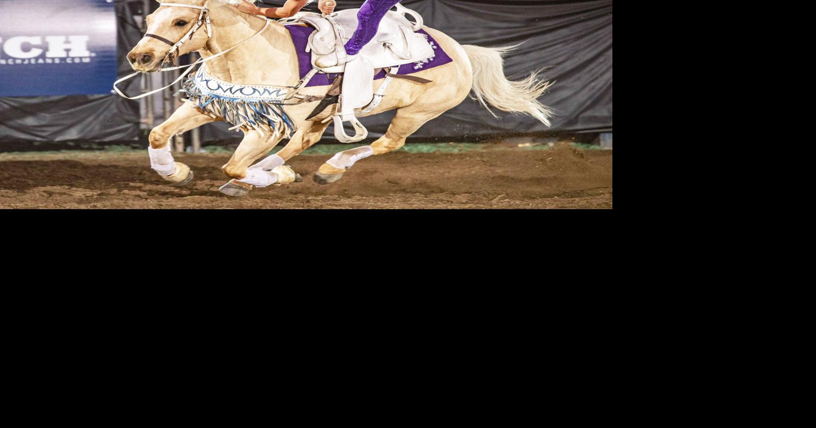Palomino horse finds his niche in trick riding, will entertain at ...