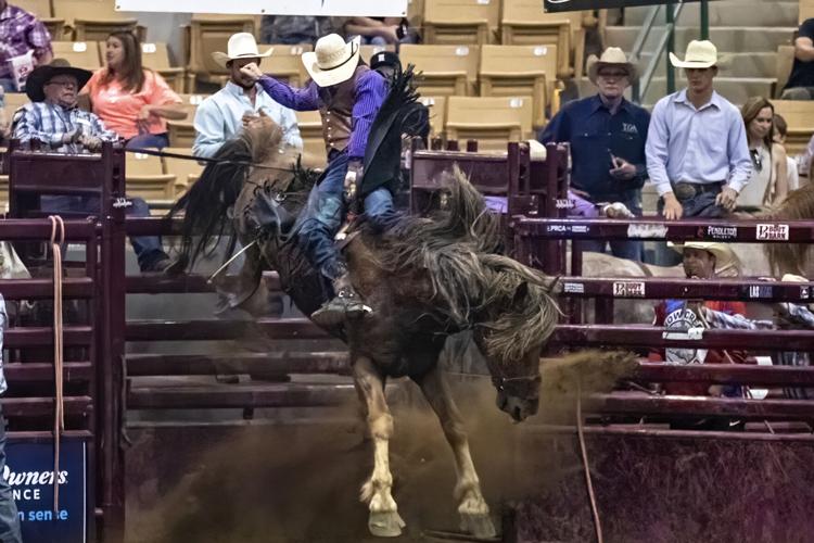 2022 Franklin Rodeo (Friday)