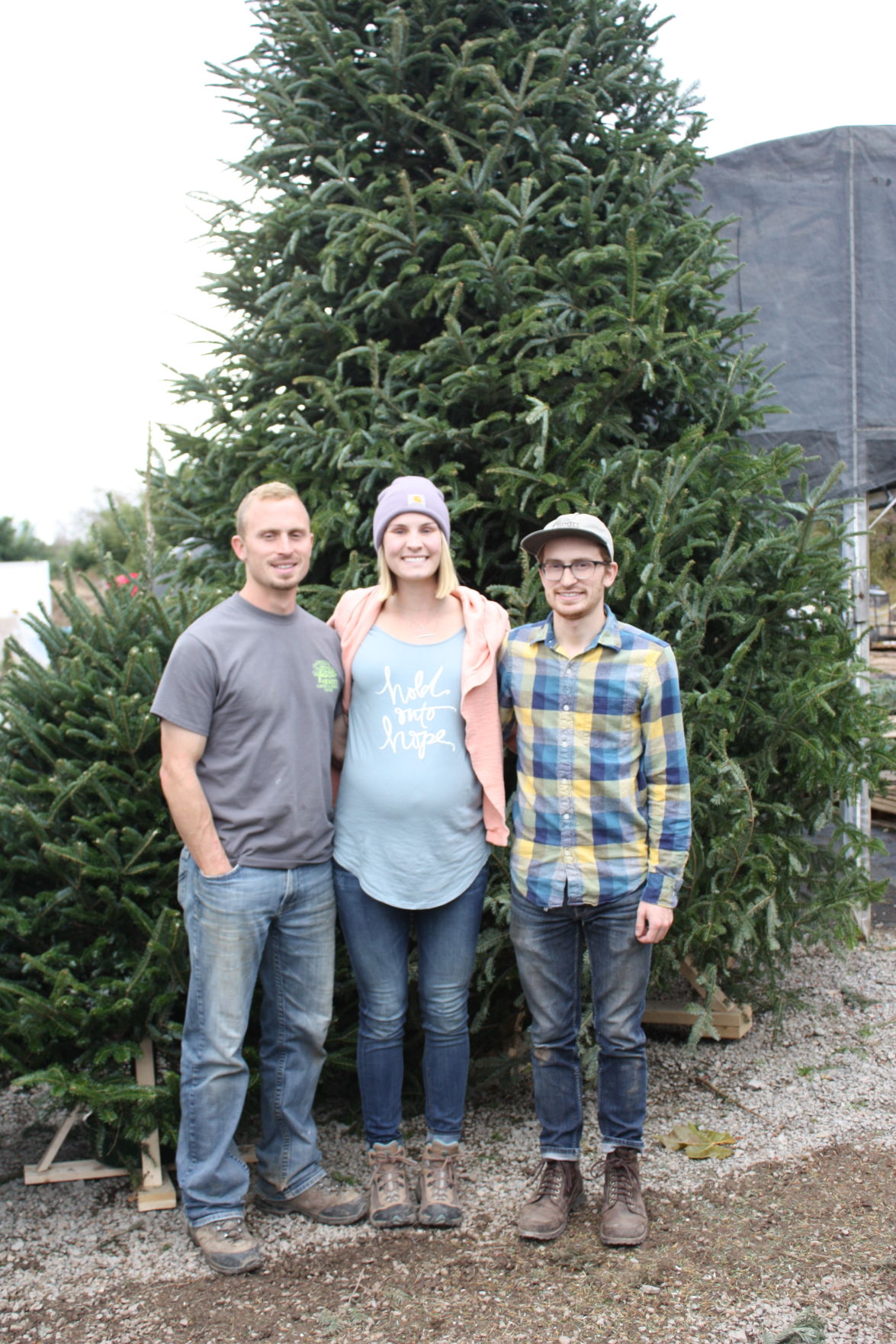 Hewitt Garden And Design Center Makes Christmas Trees A Family