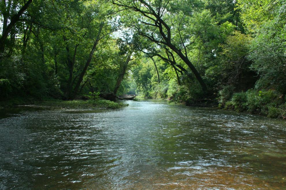 Harpeth Conservancy River Swing pivots to weeklong online auction
