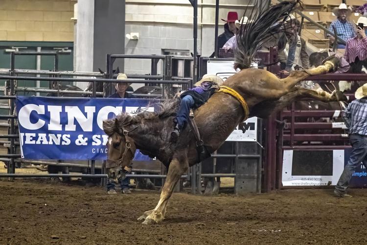 2022 Franklin Rodeo (Friday)