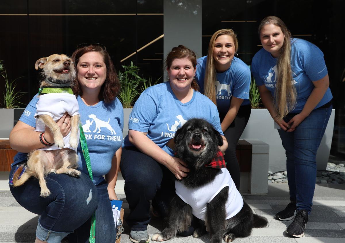 Mars Petcare Unleashes New Pet Friendly Headquarters In Cool