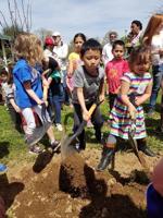 From tree climbing to collecting free saplings, Franklin’s Arbor Day event sure to please