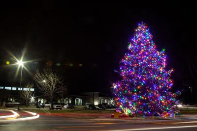 Brentwood Christmas Tree