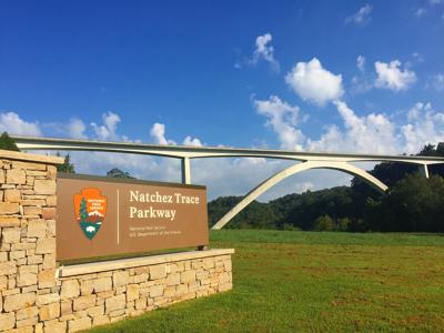 Natchez Trace Parkway in Franklin, Tennessee 09.JPG