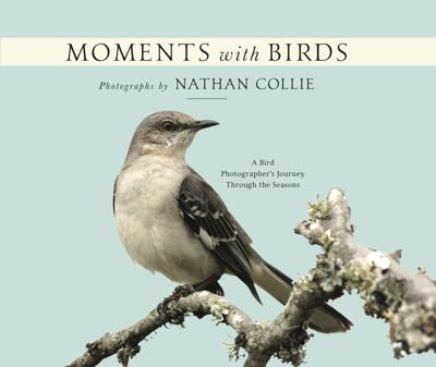 Moments with Birds