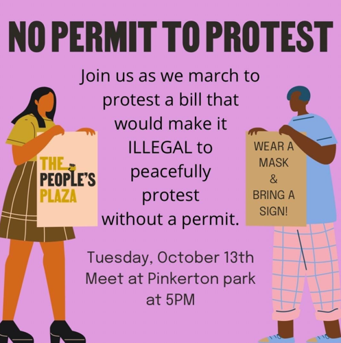 Permit Protest Flyer