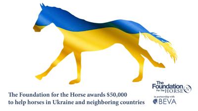 Equine support in Ukraine