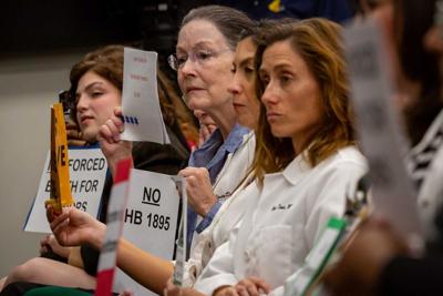 Advocates and physicians attend express opposition to "abortion trafficking" bill, Feb. 21, 2024