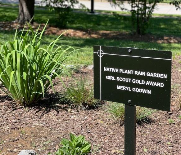 Rain Garden