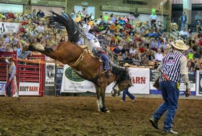bareback-rider-at-the-franklin-rodeo-by-tom-thomson