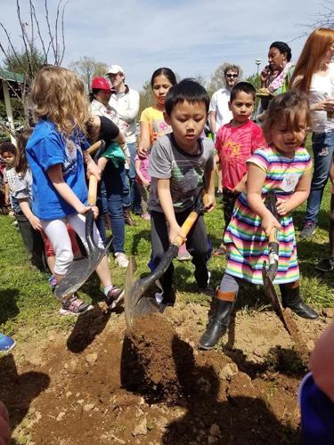 arbor-day-2