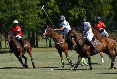 Chukkers for Charity 2019.JPG