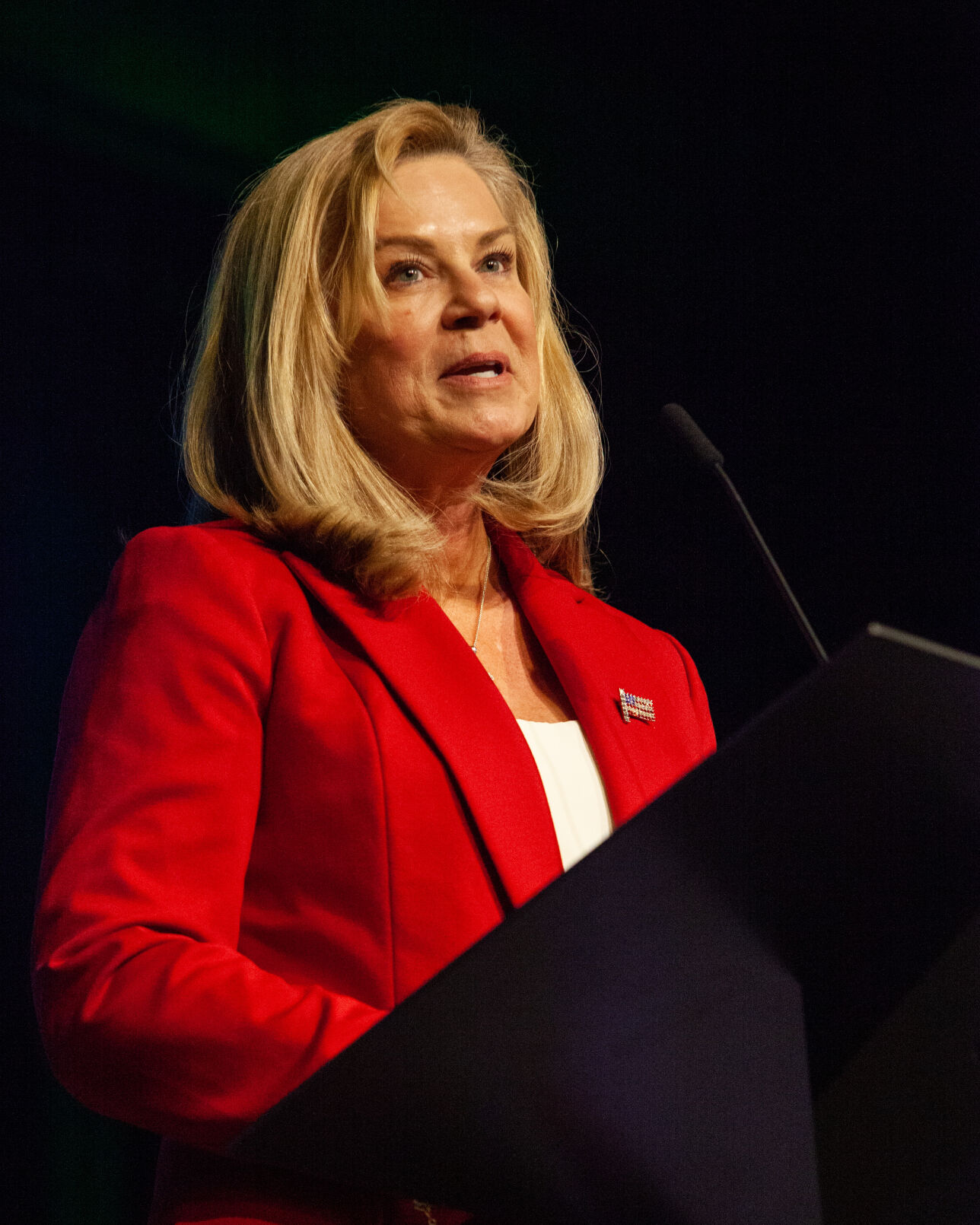 WilliamsonFamilies2020ElectionKickoff-9.jpg
