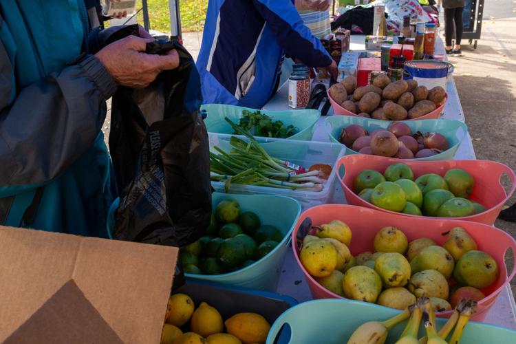 Nolensville Food Pantry 2021 (4 of 5).jpg
