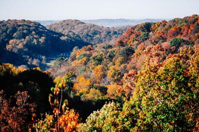 Fall in Franklin - Visit Franklin