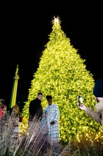 2025FranklinChristmasTreeLighting_WEB-2.jpg