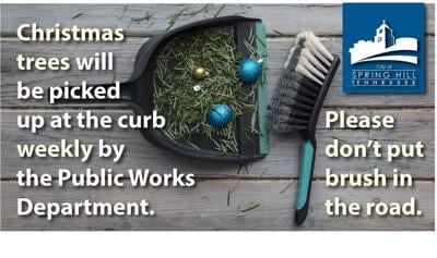 SH tree disposal