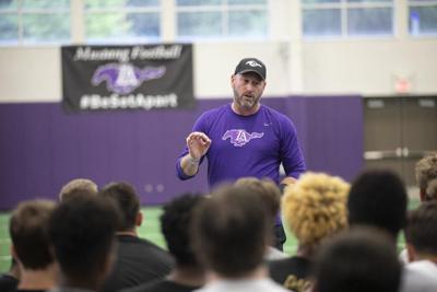 Dilfer