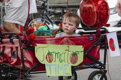 Tomato Art Fest