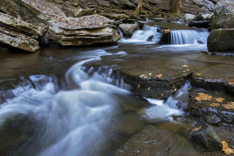 Greeter Creek.jpg