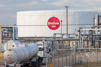 Delek art