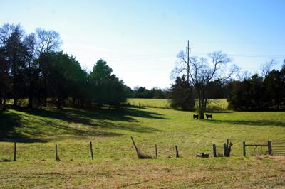 Rural Spring Hill