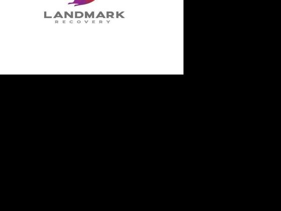 Landmark Recovery