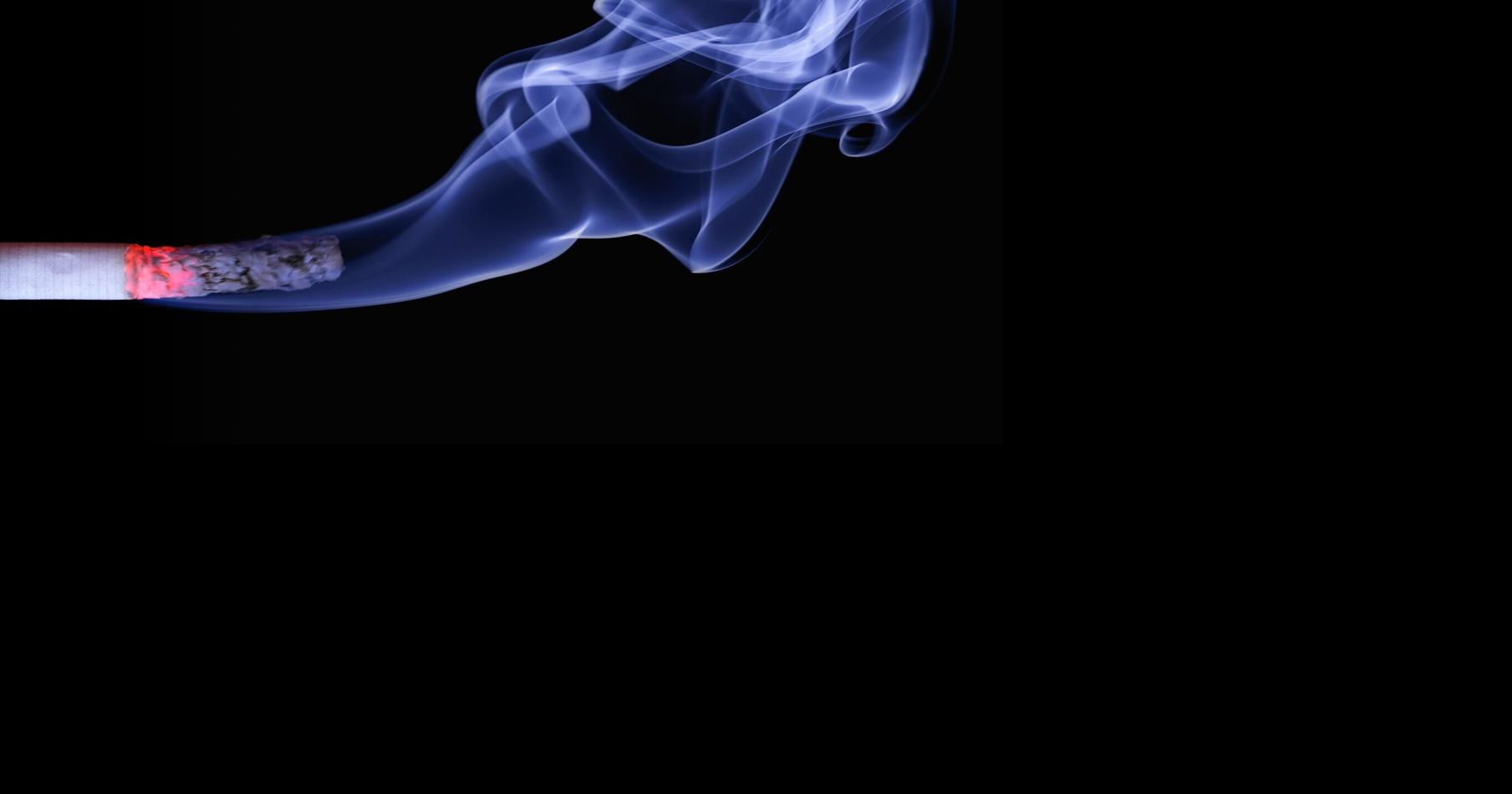30g rolling tobacco price Shop Additive Free Hand Rolling Tobacco