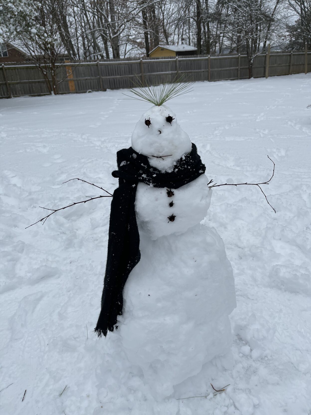 Snowman SH