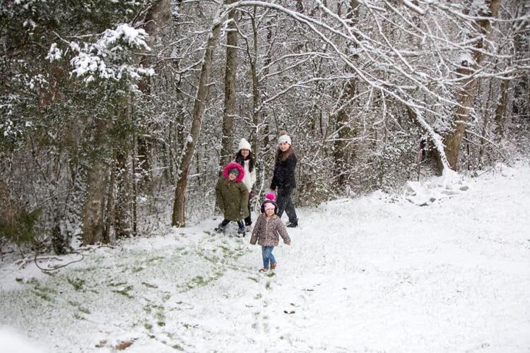 Snow woods