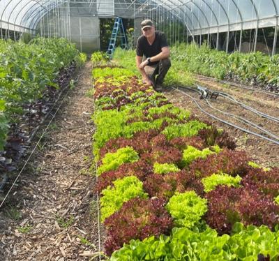 Tulley Red Thread Farm