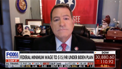 Mark Green Fox Business