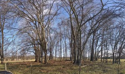 York land placed in easement