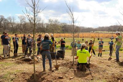 2024 Cumberland River Compact spring tre planting