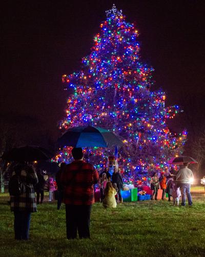 Brentwood2022ChristmasTree-14.jpg