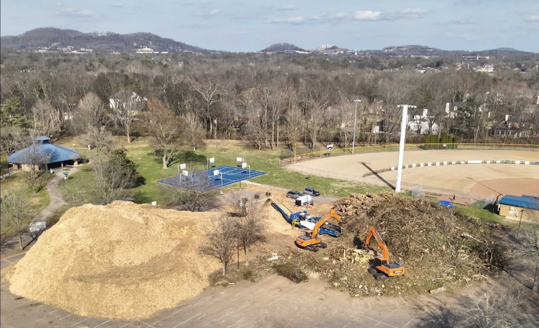 Brentwood tree debris