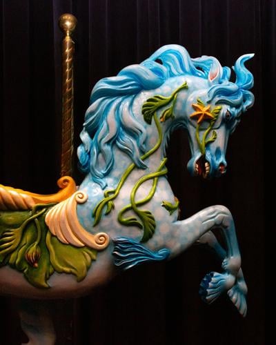 12092024FranklinCarouselWEB.jpg