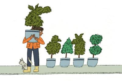 home and garden