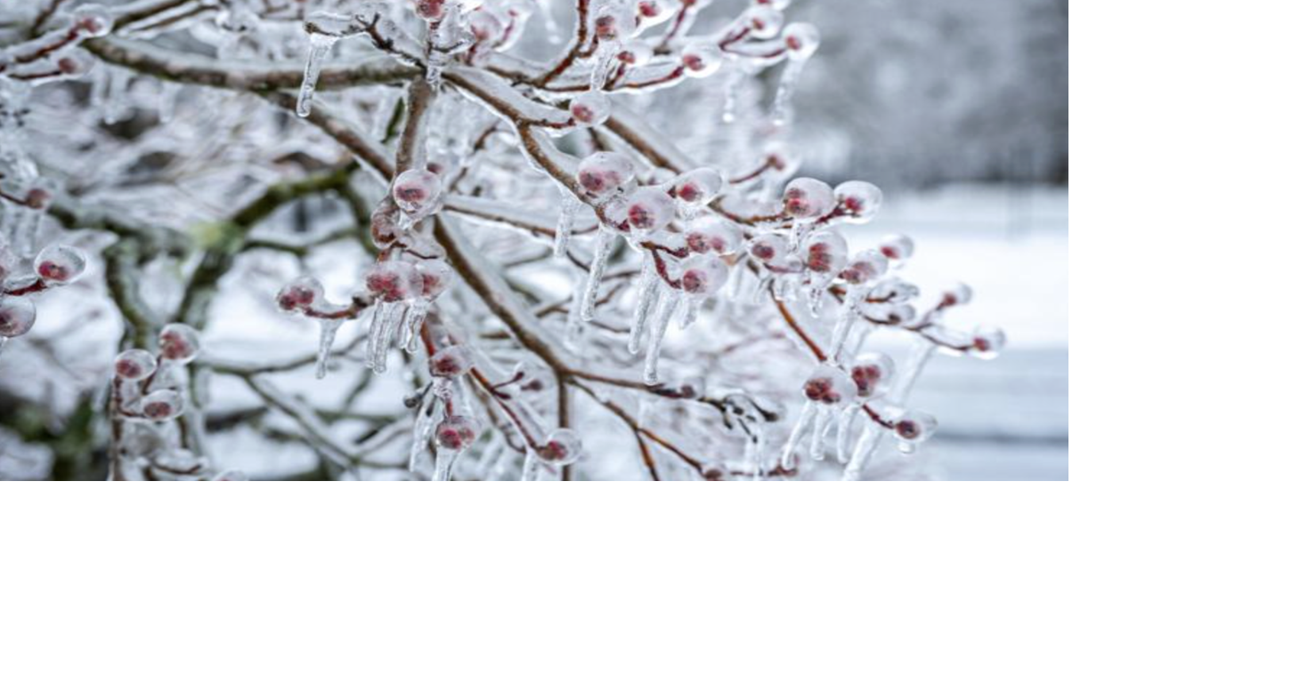 Power Restored for Majority of Williamson County