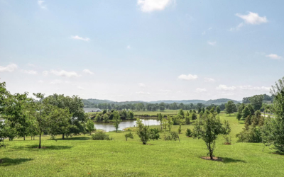 Carters Creek Property