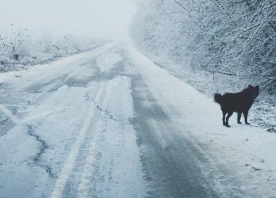 Why Not To Use Rock Salt On Sidewalks And Driveways In The Winter