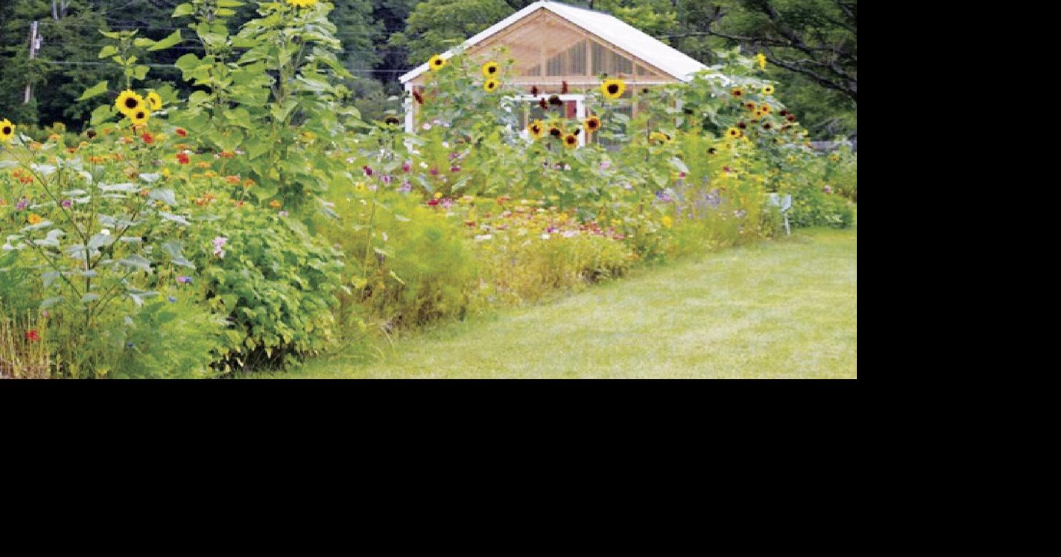Save a patch for the pollinators | Living Green | willistonobserver.com